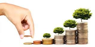 Do you invest in this Mid Cap fund? 