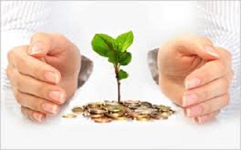 Fund managers make things easier when you invest in a right MF