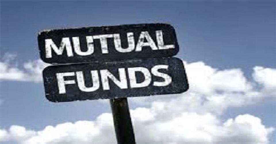 DSP Blackrock Micro-Cap Fund rides high on small-cap stocks