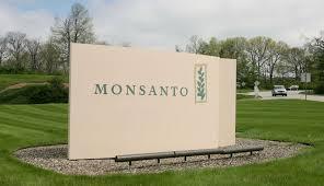 Buzzing stock : Monsanto up by almost 18 percent 