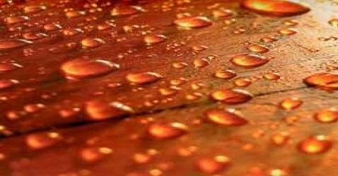 Crude prices firming, Oil companies gaining