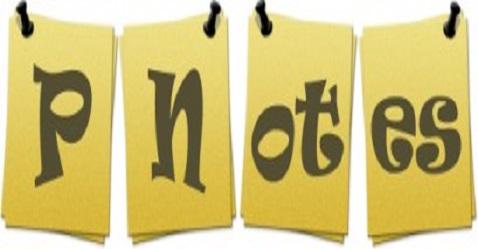 P-Notes investments fall to 33-mnth low in November