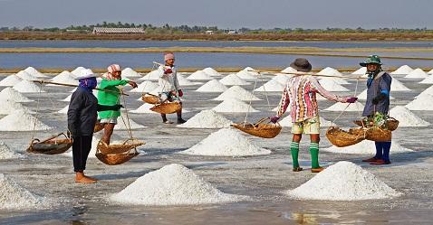 Government takes steps to improve salt farming industry 