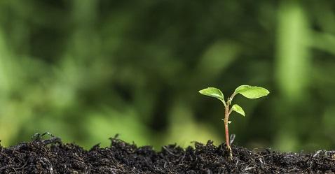 Small cap index rises to 9-year high; outperforms indices