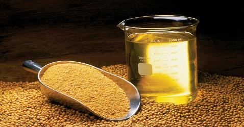 SEBI allows trading of soya oil in the Exchanges