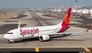 SpiceJet flies lower despite posting consecutive profits