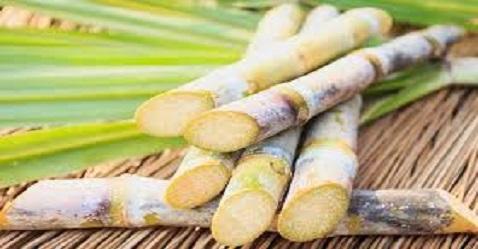 Centre spikes sugarcane fair price by 10.6%