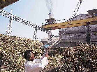 Shree Renuka Sugars loses ground after debt restructuring exercise