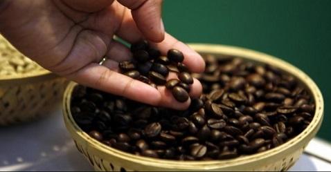 Tata Coffee to set up a plant in Vietnam