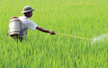 Zuari Agro Chemicals cultivates loss