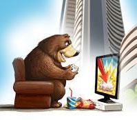 Bears On A Rampage On D-Street