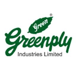 Green Ply Net Doubles