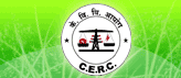 Power Stocks Mount On CERC Order