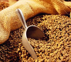 Food Security Bill: Credit Negative Says Moody's