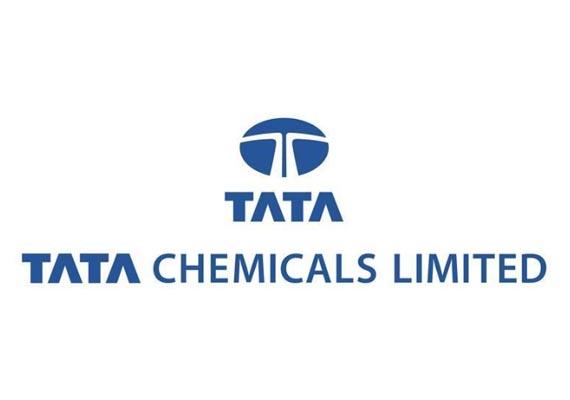 Tata Chemicals Posts Poor Numbers For March 2013 Quarter