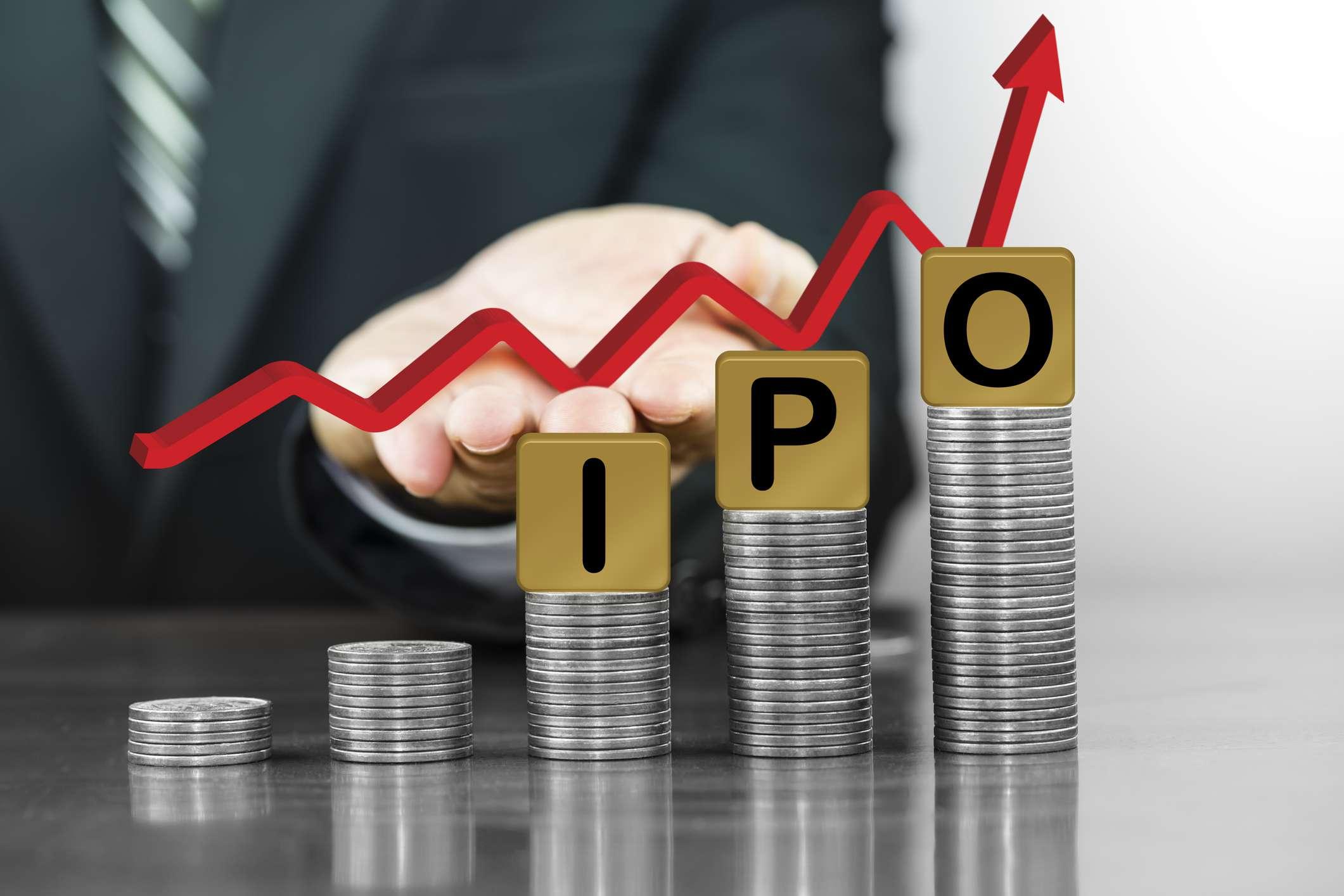 IPO Analysis: Barbeque Nation