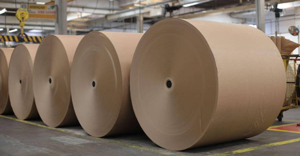 Banganga Paper Industries Ltd Welcomes Mr Venkatesh Prabhu and Mr Ravindranathan M as New Independent Directors