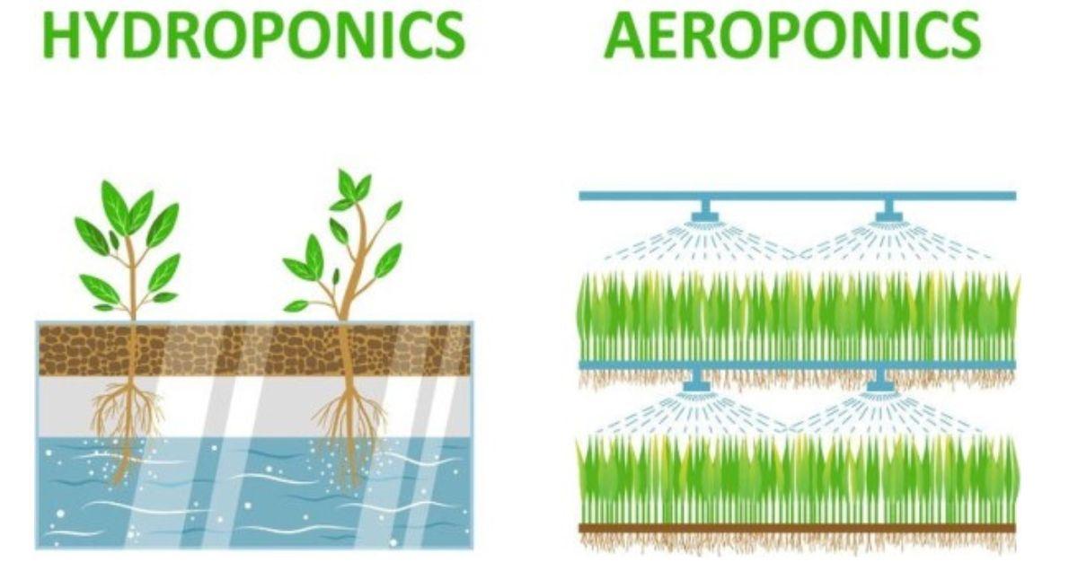 Auri Grow India Ltd Board accepts the proposal of Hong Kong-based FII, Luminary Crown Ltd, for acquiring 24% stake