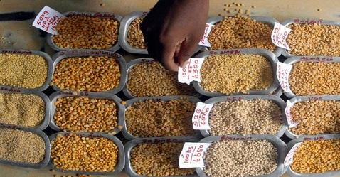 NCDEX seeks sanction to relaunch pulses futures